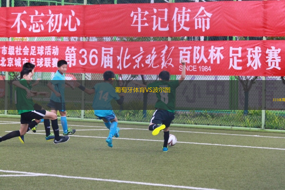 葡萄牙体育VS波尔图